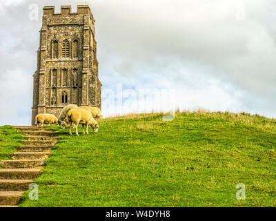 Glastonbury Tor and St Michael's Church Tower. Glastonbury, Somerset, England. Stock Photo