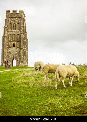 Glastonbury Tor and St Michael's Church Tower. Glastonbury, Somerset, England. Stock Photo