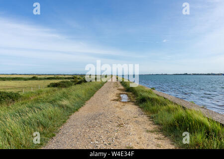 View across Farlington Marshes nature reserve along the Solent Way at Langstone harbour in Portsmouth during summer 2019, Hampshire, England, UK Stock Photo