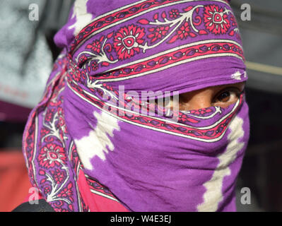 Young Indian woman with beautiful eyes covers her hair and face with a trendy secular headscarf. Stock Photo