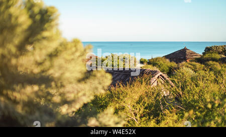 Beach houses straw roof tops visible through dense green trees, sea in background - tropical holiday resort Stock Photo