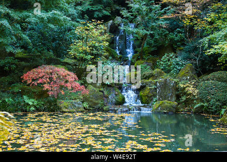 Beautiful Japanese Garden in Fall in Portland Oregon, USA Stock Photo