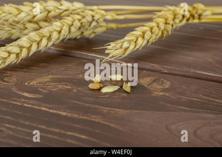 Group of three whole five pieces of golden bread wheat ear on brown wood Stock Photo
