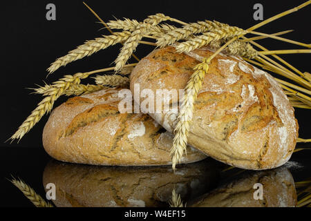Group of two whole rustic fresh baked rye wheat bread with golden wheat ears isolated on black glass Stock Photo