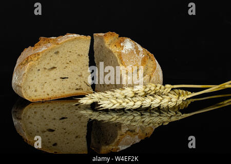Group of two slices of fresh baked rye wheat bread with golden wheat ears isolated on black glass Stock Photo