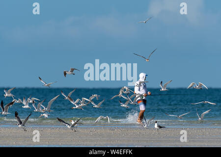A fisherman startles the birds and causes the flock of terns to move Stock Photo