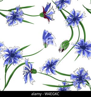 Floral seamless pattern of cornflowers. Stock Vector