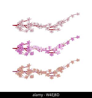 Set of Sakura branches with flowers, cherry blossom, vector illustration. Stock Vector