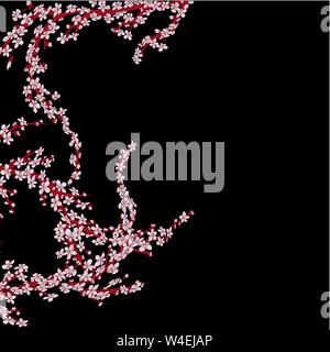 Sakura branch black background vector illustration eps 10 Stock Vector