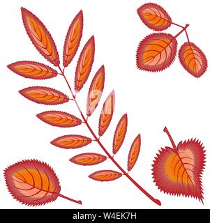Four different autumn orange or red leaves - rowan, maple, birch, aspen - on a white background. Pattern, seamless texture on the theme - golden autum Stock Vector