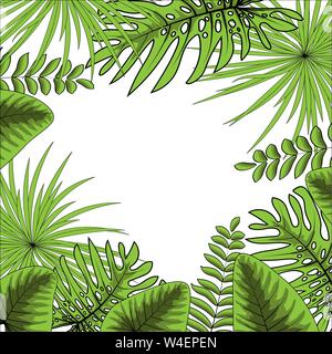 Palm Leaf on a white background Vector Illustration EPS 10 Stock Vector