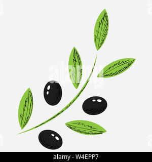 Branch of black olives in abstract style on white background Stock Vector