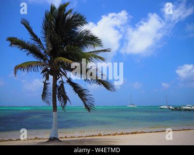 The beach on Ambergris Caye, Beliaze, tropical paradise island in the caribbean. Stock Photo