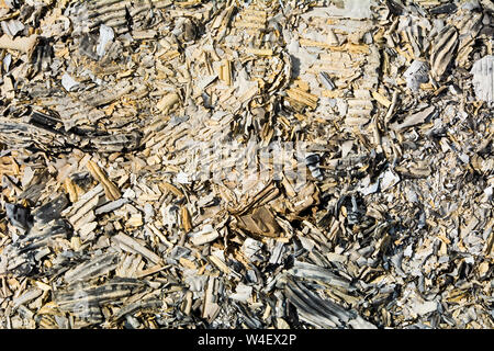 Background from burnt corrugated cardboard Stock Photo