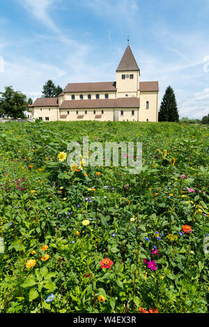 Reichenau-Oberzell, BW / Germany - 21 July 2019: the church of St. Georg on Reichenau island on Lake Constance with colorful wildflowers in the foregr Stock Photo