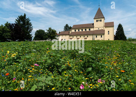 Reichenau-Oberzell, BW / Germany - 21 July 2019: the church of St. Georg on Reichenau island on Lake Constance with colorful wildflowers in the foregr Stock Photo