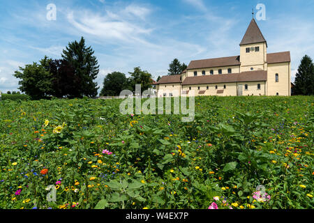 Reichenau-Oberzell, BW / Germany - 21 July 2019: the church of St. Georg on Reichenau island on Lake Constance with colorful wildflowers in the foregr Stock Photo