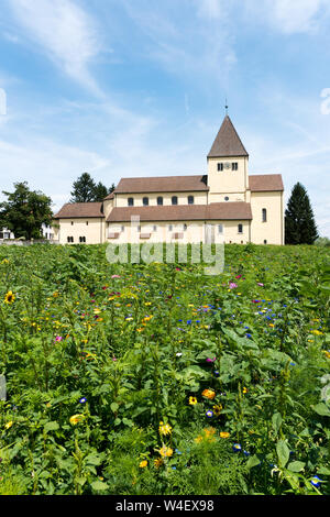 Reichenau-Oberzell, BW / Germany - 21 July 2019: the church of St. Georg on Reichenau island on Lake Constance with colorful wildflowers in the foregr Stock Photo