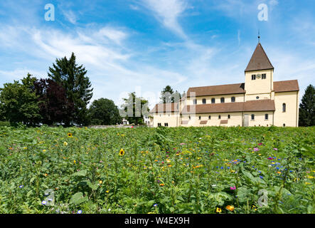 Reichenau-Oberzell, BW / Germany - 21 July 2019: the church of St. Georg on Reichenau island on Lake Constance with colorful wildflowers in the foregr Stock Photo