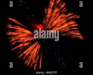 Dragonfly in Flight, Distortion of Fireworks, 4th of July Fireworks Show, Moffat County, Craig, Colorado. 2019