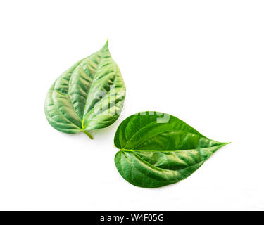 Studio shot close-up two raw betel leaves or paan isolated on white Stock Photo