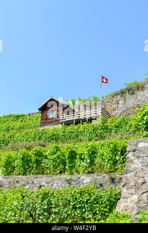 Green terraced vineyards on hills by Geneva Lake in famous Lavaux wine region, Switzerland. UNESCO Heritage. Green vineyard on slope. Swiss flag waving. Switzerland summer. Winemaking, winery. Stock Photo