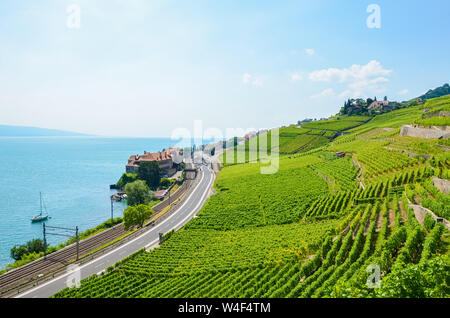 Beautiful terraced vineyards on slopes by Geneva Lake, Switzerland. Famous Lavaux wine region, UNESCO Heritage. Rivaz in background. Amazing rural landscapes. Travel destinations. Stock Photo