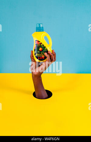A hand holding vegetable oil on studio blue and yellow background,As part of a creative concept showcasing product photography. Stock Photo