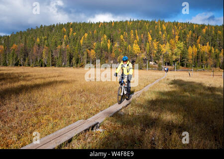 biking in the park, taiga forest, Ruska time (autumn), Pallas-Yllastunturi National Park, Lapland, Finland Stock Photo