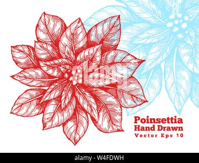 Poinsettia hand drawn red flowers vector illustration. Retro style Stock Vector