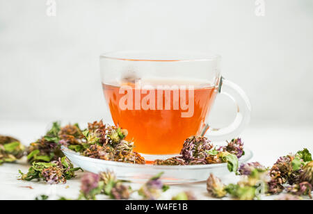 Red clover tea in transparent cup with red clover flowers, healthy herbal natural tea Stock Photo