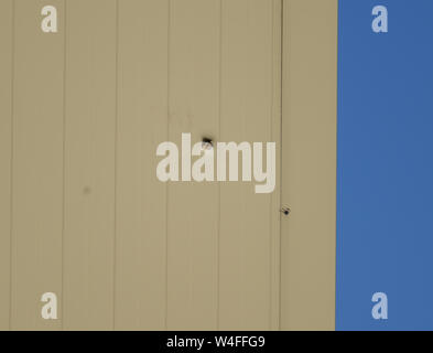 23 July 2019, Hessen, Wächtersbach: A bullet hole can be seen on the facade of a factory building in Industriestraße. After a 26-year-old man from Eritrea was shot here the day before from a car and the presumed shooter died later, the investigation continues. Photo: Arne Dedert/dpa Stock Photo