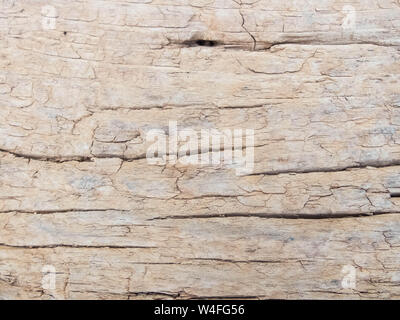 Old cracked werathered wood. Wood texture background. Stock Photo