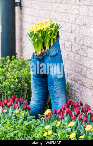 modern garden design with jeans pot Stock Photo