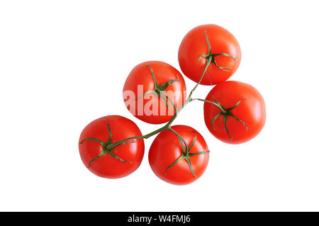 Five red tomatoes on a branch. White isolate. View from above. Stock Photo