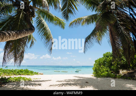 Ocean view with coconut palms and boats. White sand beach. Two huge palm trees on edges of frame. Stock Photo