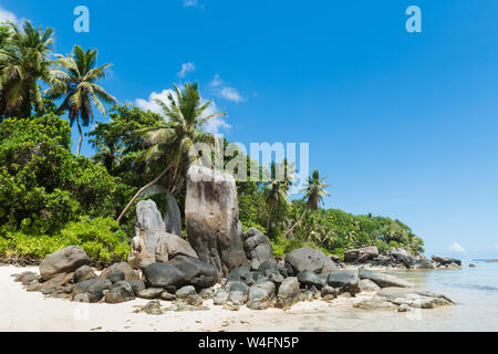 Huge stones and palm on sandy beach. Landscape of indian ocean costline and nature. Stock Photo