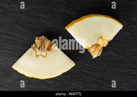 Group of two pieces of fresh yellow melon canary flatlay on grey stone Stock Photo