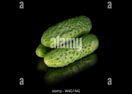 Green cucumbers (gherkin) isolated on black background with reflection Stock Photo