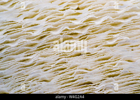 macro photo of a paper roll, abstract background Stock Photo
