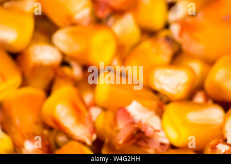blurred photo for background with grain corn close-up Stock Photo