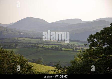 A view along the Vale of Conwy to the mountains of Snowdonia on a summer evening near the village of Eglwysbach Conwy North Wales Stock Photo