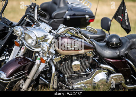 22 July 2019, Saxony, Dresden: Harley Davidson motorcycles are standing at a press and photo shoot for the Harley Days Dresden 2019 on the festival grounds in the flood channel. From 26 to 28 July 2019 the new edition of Harley Days Dresden will take place, the Open Air Event in the 'Rinne Dresden'. This year, thousands of bikers and onlookers will gather on the eight-hectare festival grounds to pay homage to the American brand, which conveys the feeling of freedom and independence like no other. Besides Hamburg, Dresden is only the second German city to be allowed to host such an event, becau Stock Photo