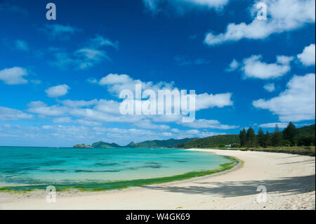 White sand beach on Lord Howe Island, New South Wales, Australia Stock Photo