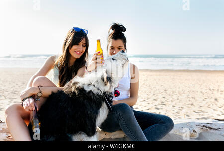 Two women with dog and beer bottles on the beach Stock Photo