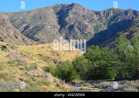 Nuratau-Kyzylkum Biosphere Reserve, Nuratau mountains, Central Uzbekistan Stock Photo