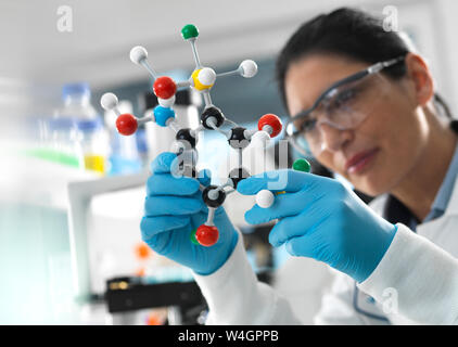 Biotech Research, Scientist examining a ball and stick molecular model of a chemical formula during a experiment Stock Photo