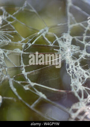 Broken smartphone screen with natural background. Cracked screen phone. Stock Photo