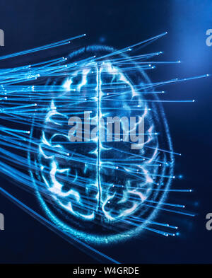 Artificial Intelligence, Fibre optics carrying data passing into brain Stock Photo