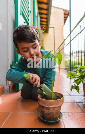 Portrait of little boy gardening on balcony Stock Photo